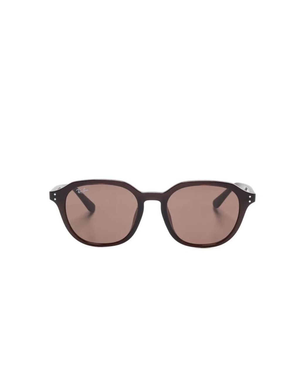 Ray-Ban Brown Sunglasses