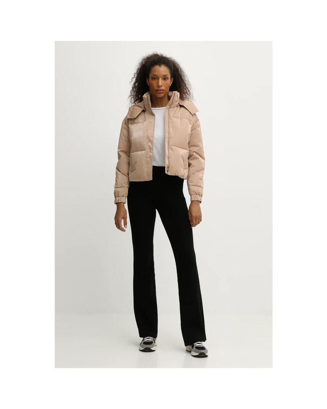 Winter Jackets EA7 de color Black
