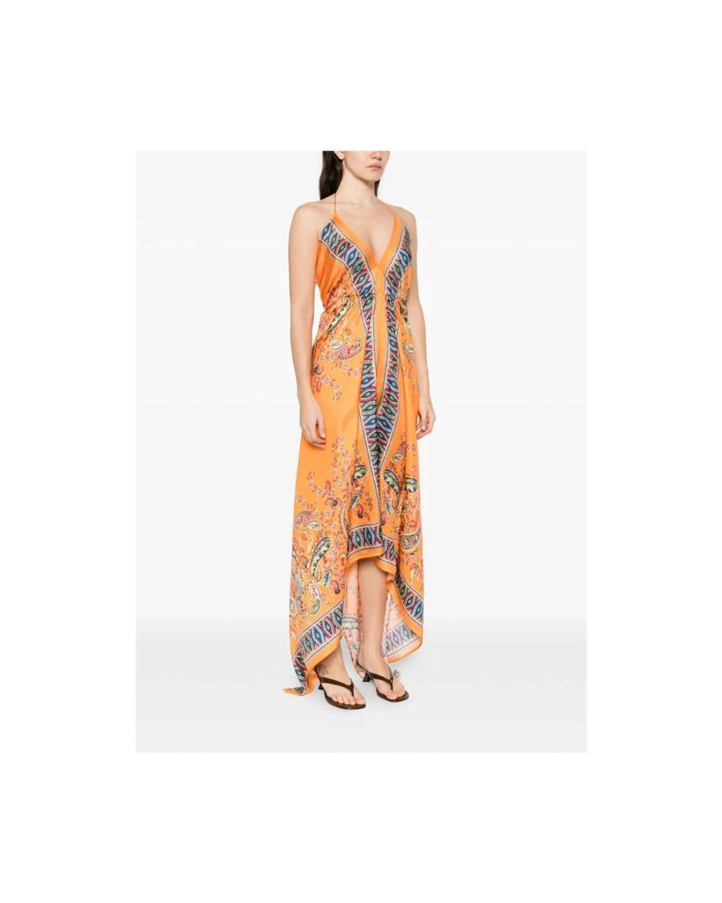 Etro Metallic Maxi Dresses