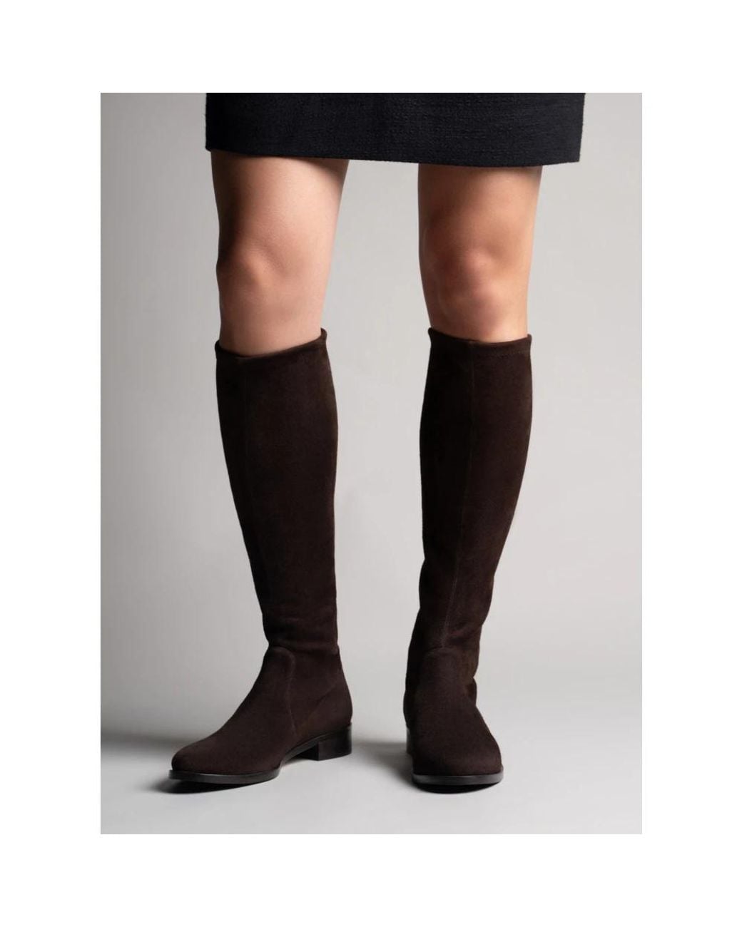 High Boots Parallèle en coloris Brown
