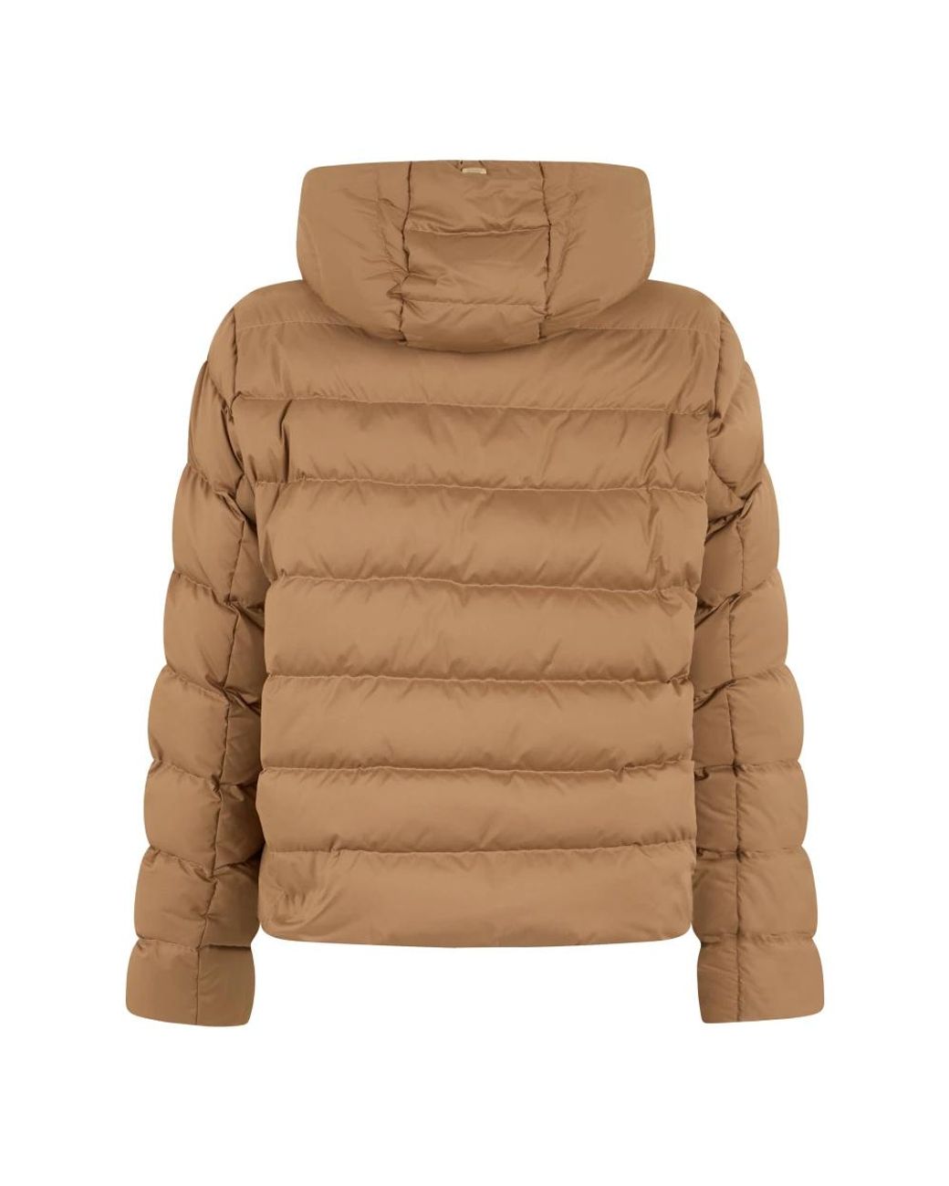 Herno Brown Winter Jackets