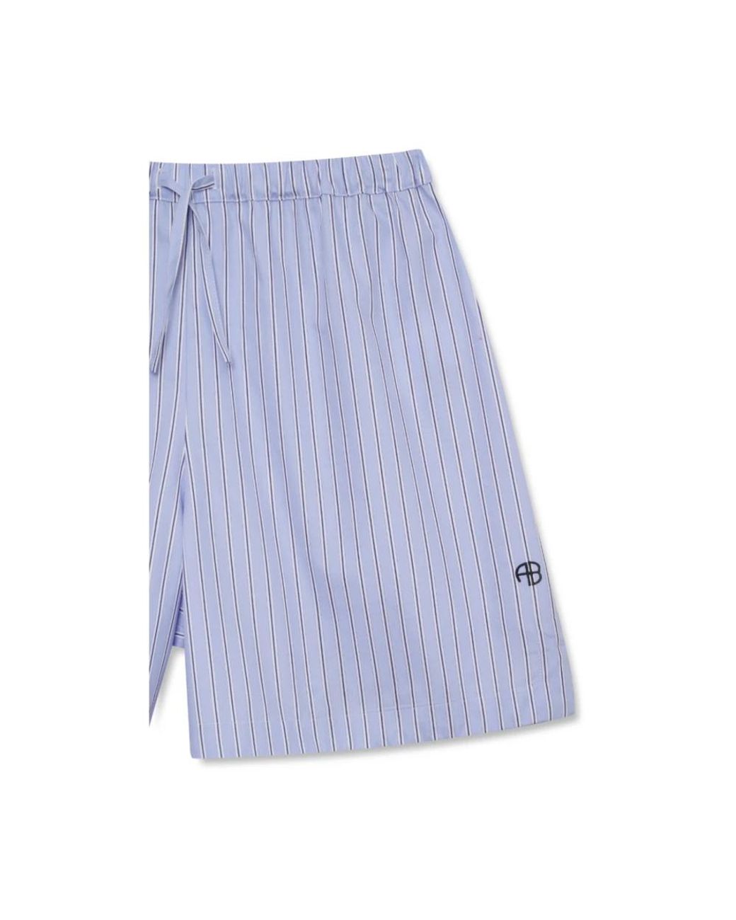 Anine Bing Blue Casual Shorts