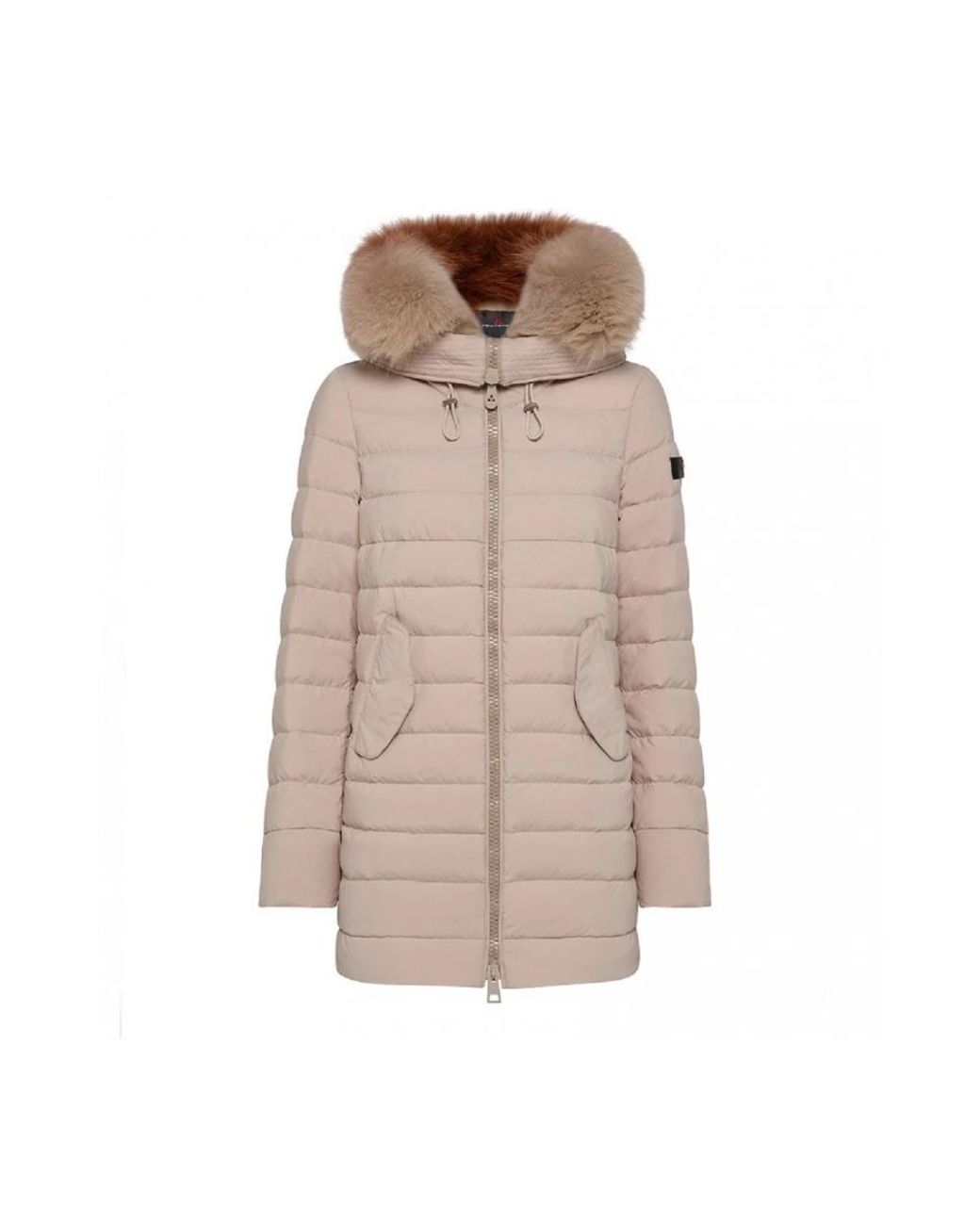 Peuterey Winter Jackets in het Brown