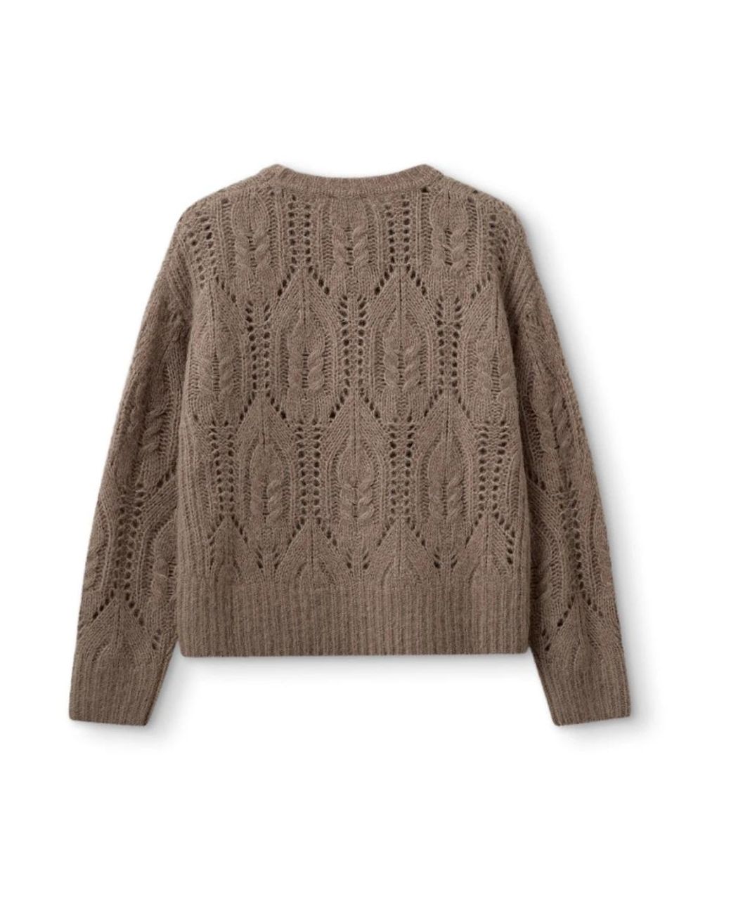 THE GARMENT Brown Round-Neck Knitwear