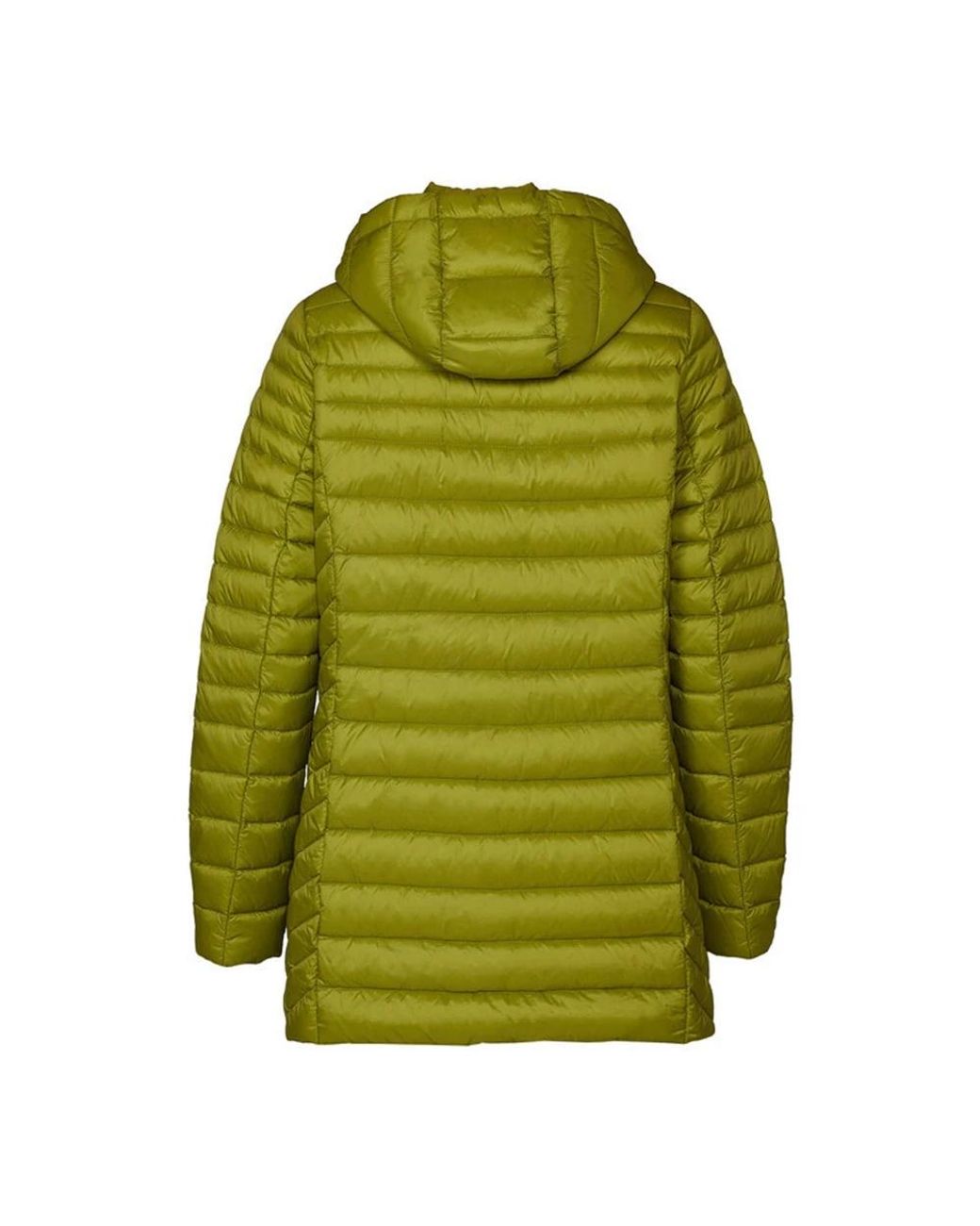 Down Jackets di Danwear in Green