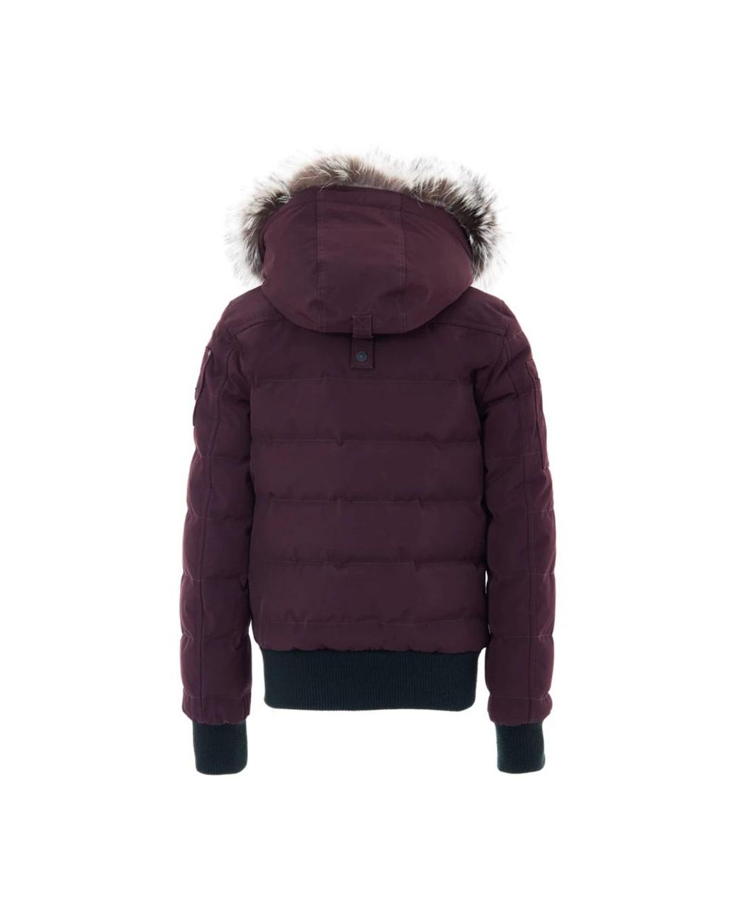 Moose Knuckles Purple Winter Jackets