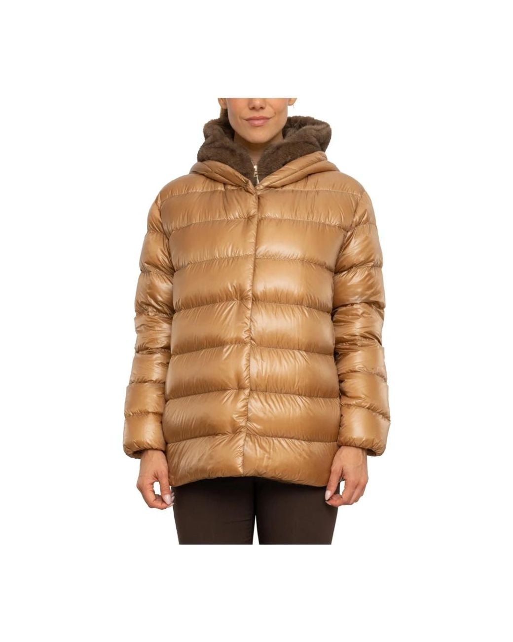 Down Jackets Herno en coloris Brown