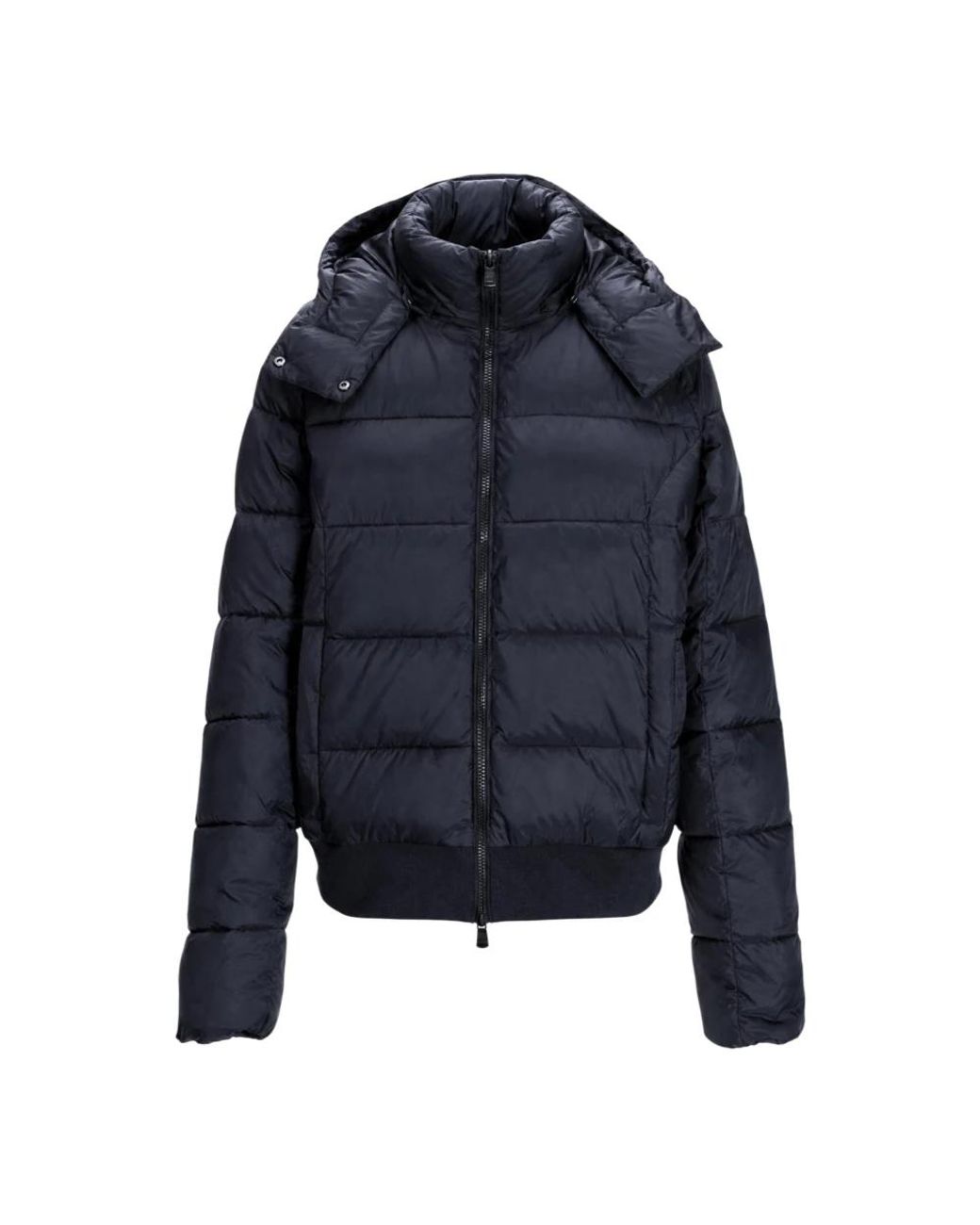 EA7 Blue Winter Jackets