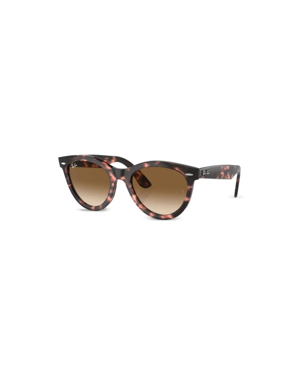 Ray-Ban Brown Sunglasses