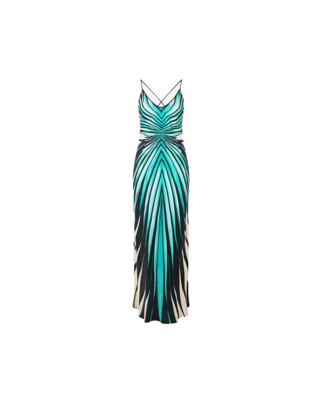 Roberto Cavalli Kleedjes ,Blauw ,Zee Print Zijden Maxi Jurk in het Blue