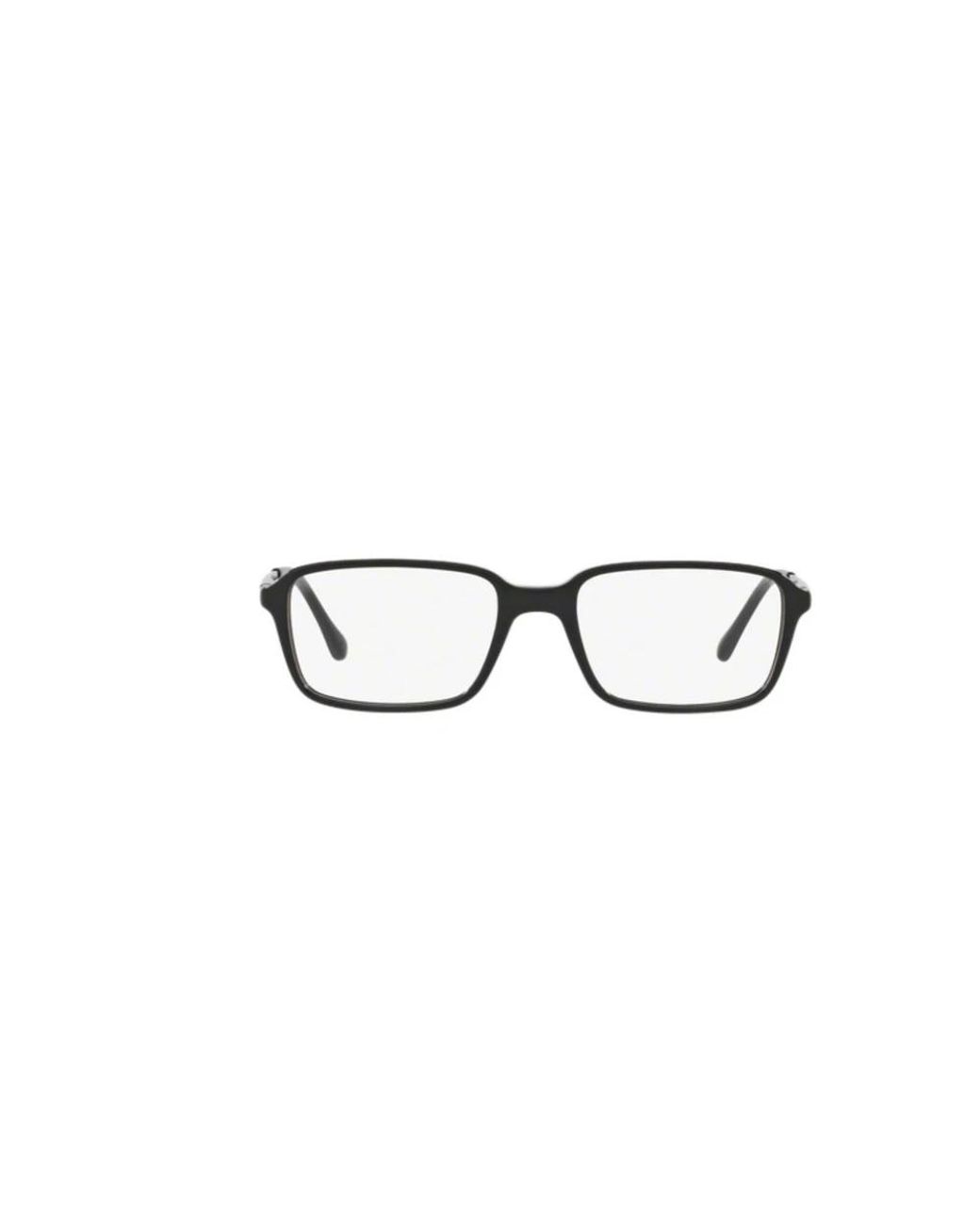 Sferoflex Brown Glasses for men