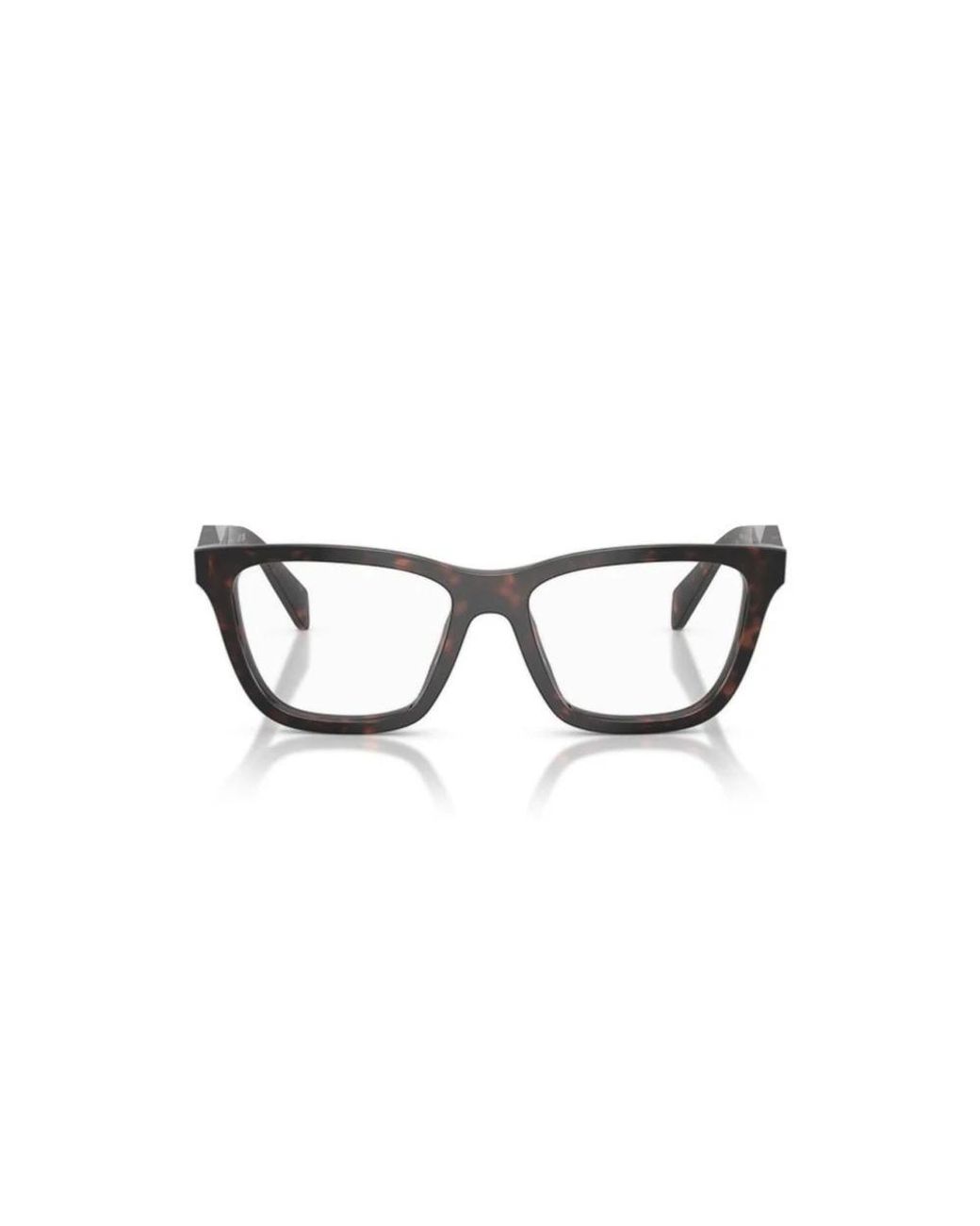 Prada Brown Glasses