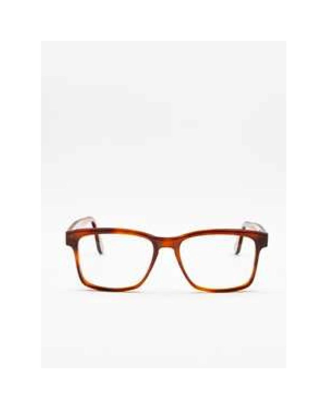 Moli Limo Brown Glasses
