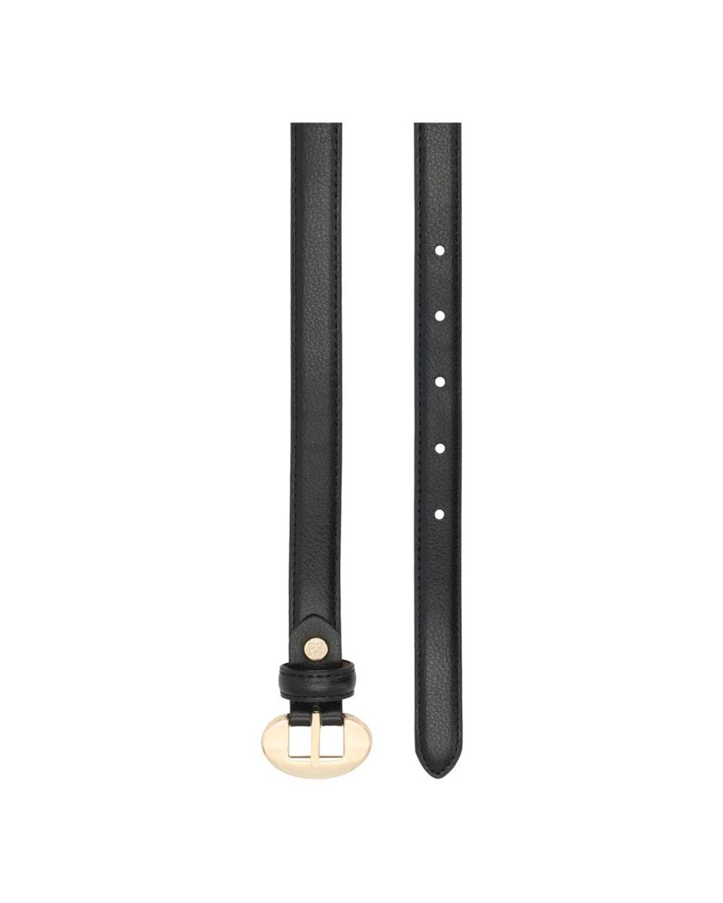 Belts Kazar en coloris Black