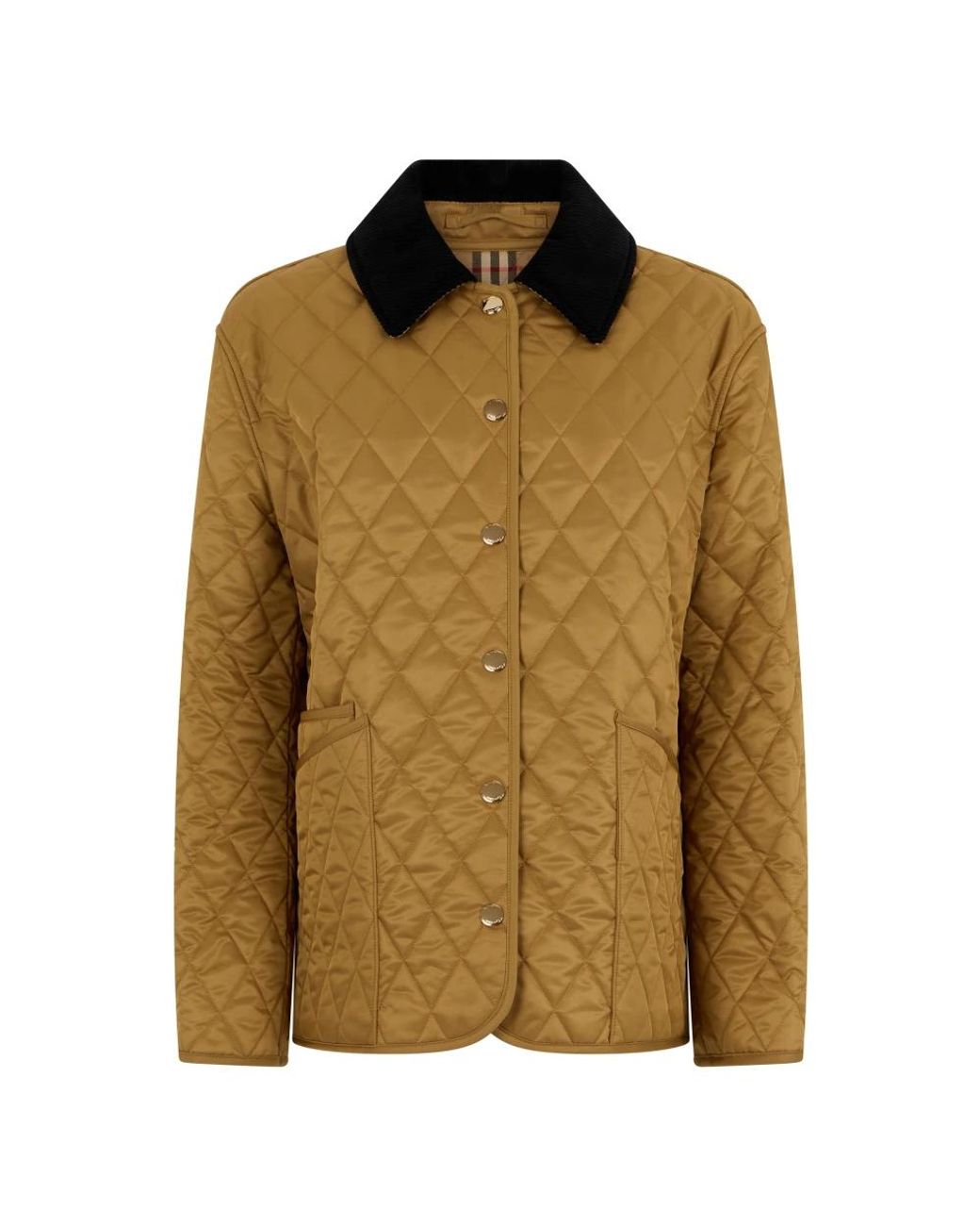 Winter Jackets Burberry en coloris Brown