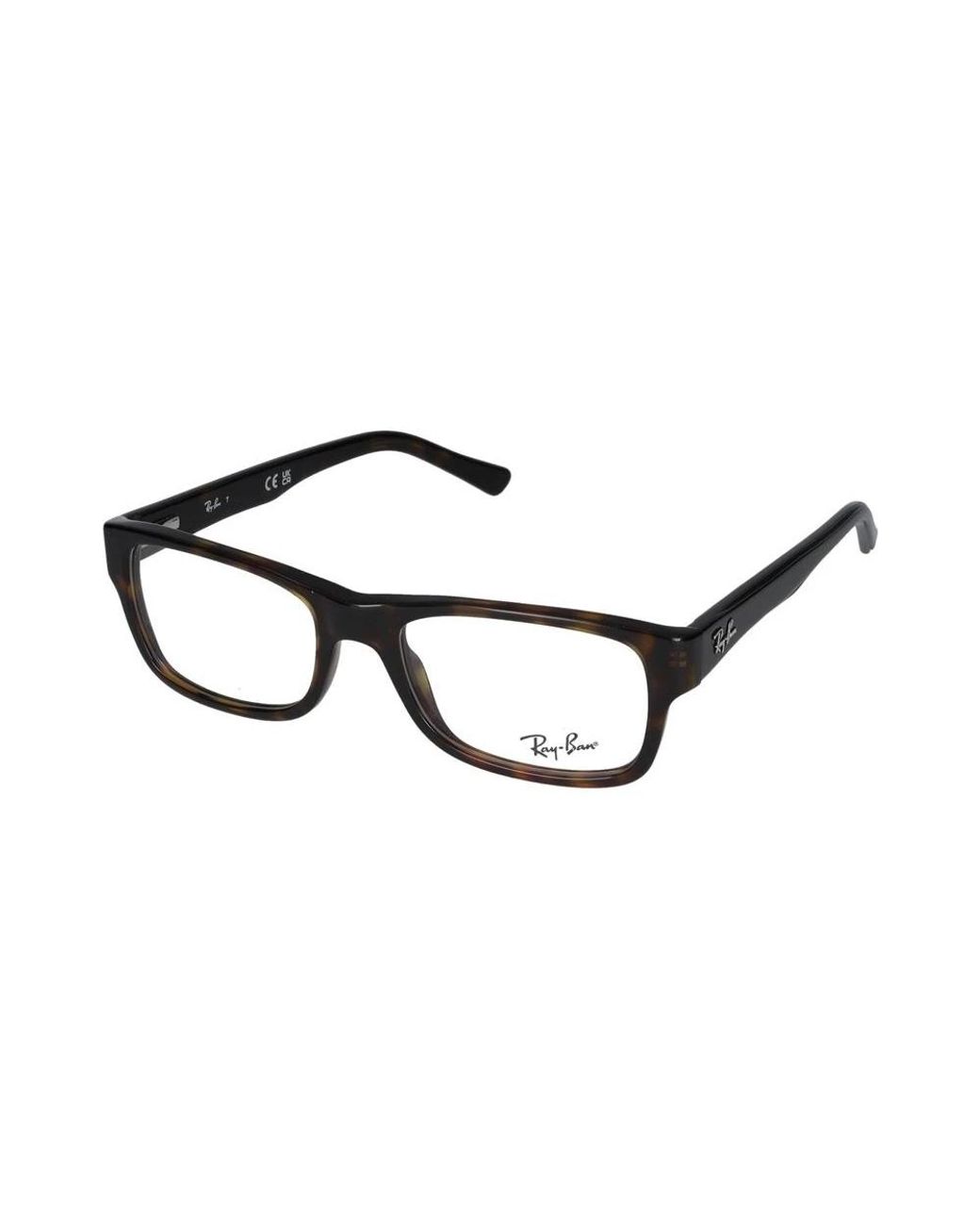 Ray-Ban Brown Glasses