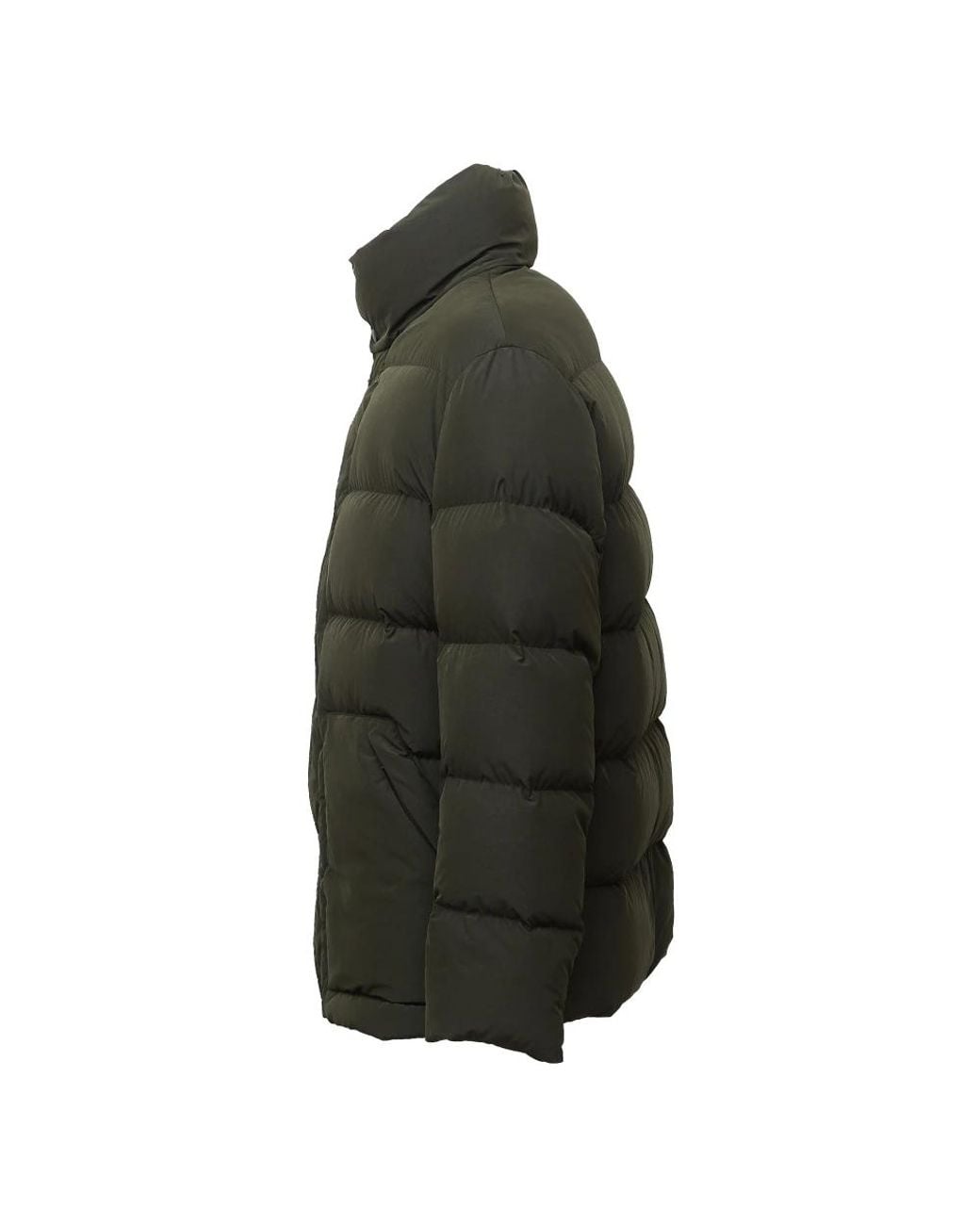 Winter Jackets di Fay in Green da Uomo
