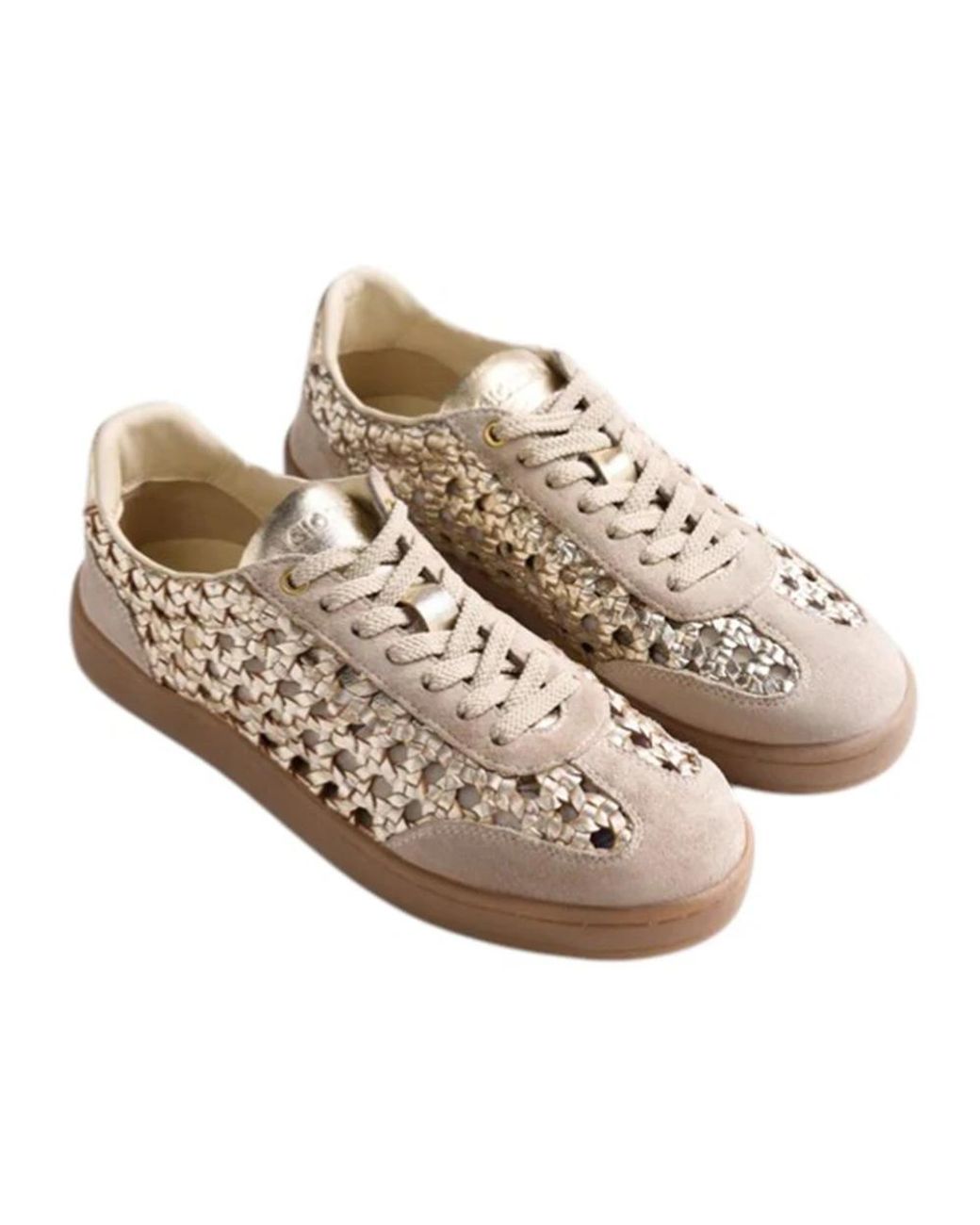 Gioseppo Brown Sneakers