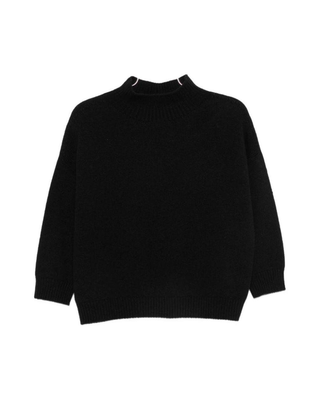 Turtlenecks Vanisé de color Black