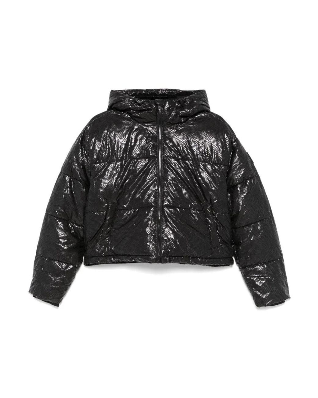 Winter Jackets DKNY en coloris Black
