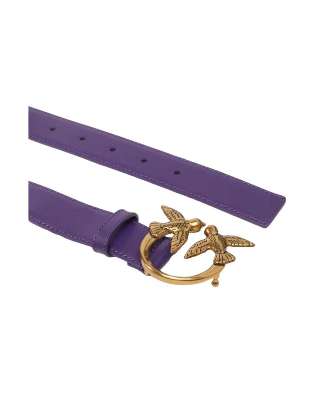 Pinko Purple Belts