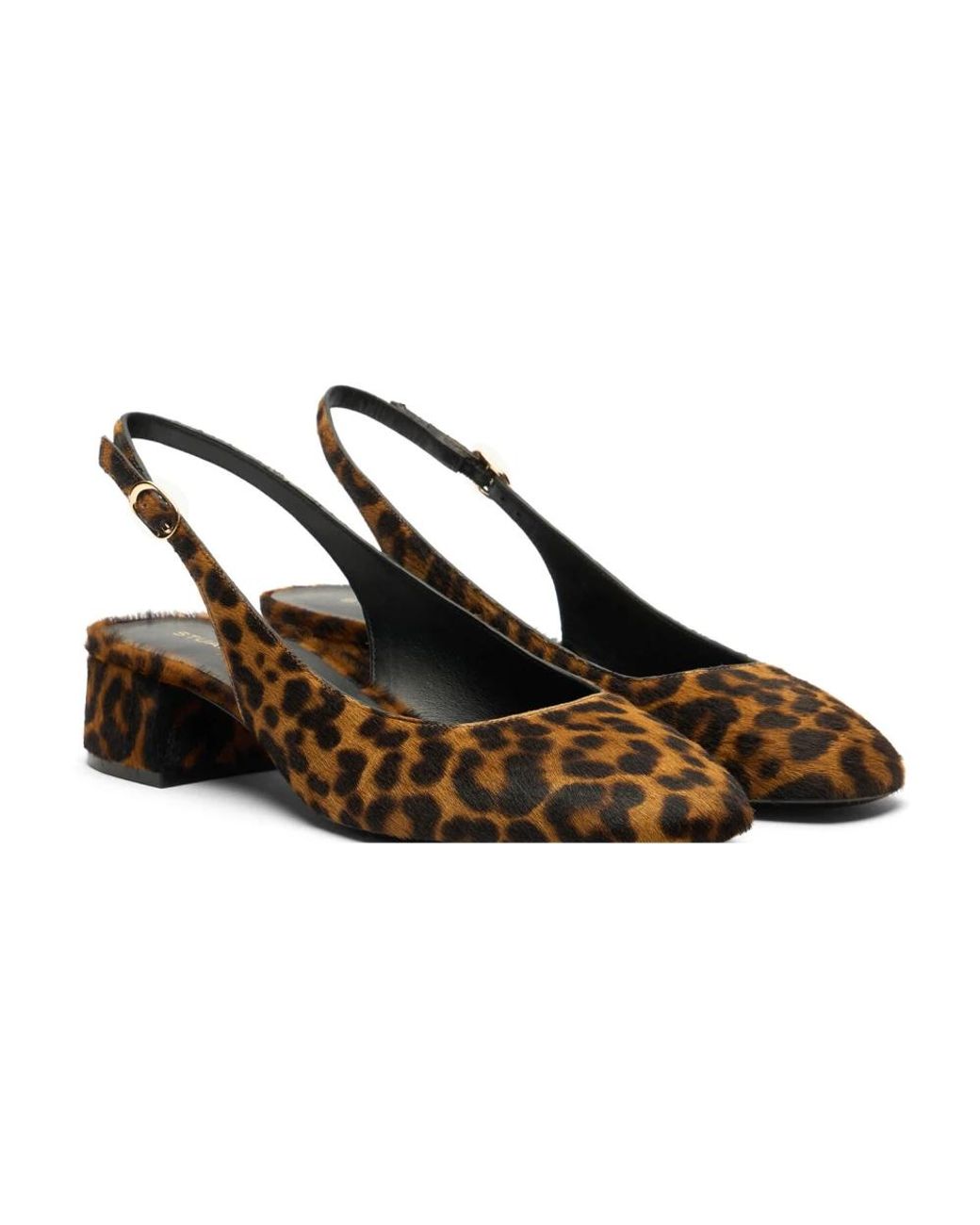 Pumps Stuart Weitzman en coloris Brown