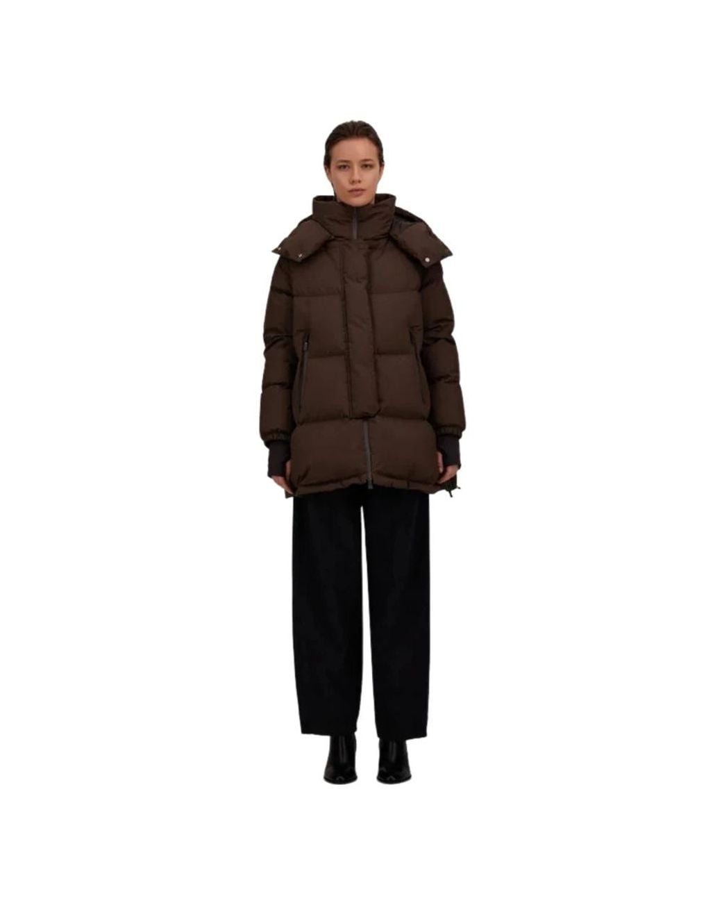 Down Jackets di Herno in Brown