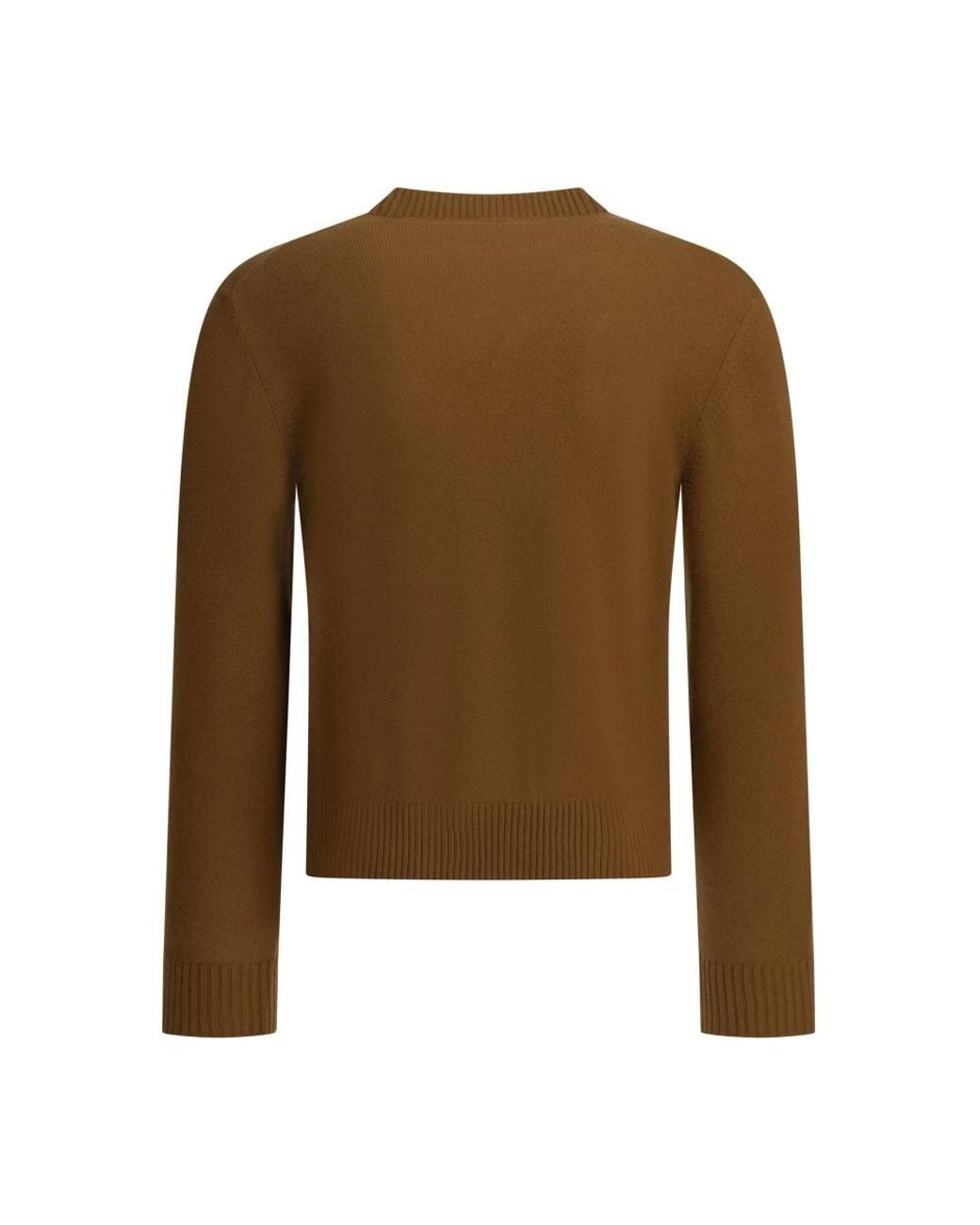 Altum Brown Cashmere Knitwear for men