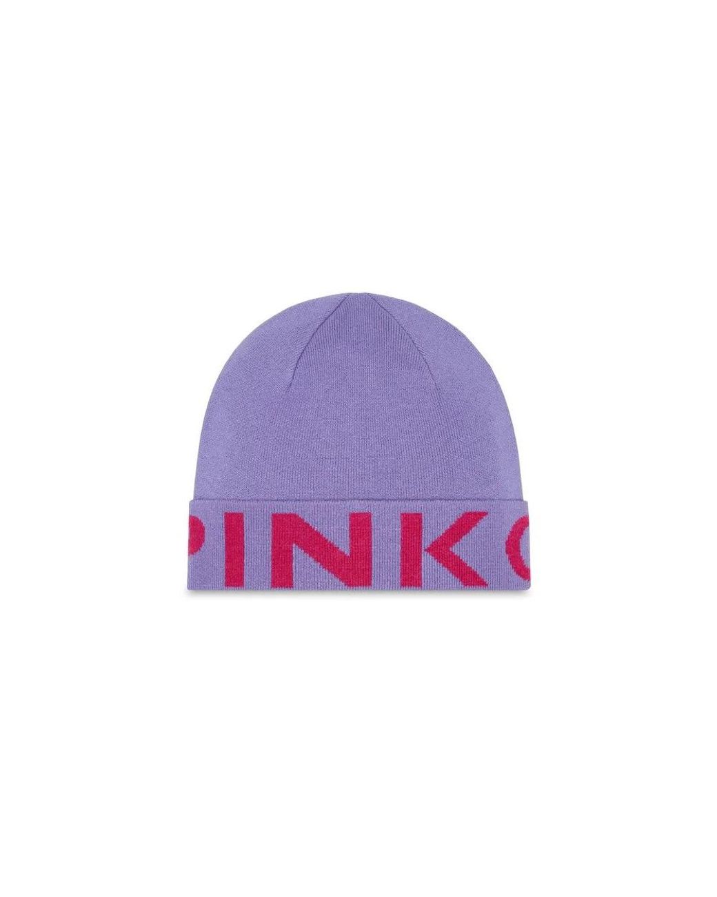 Pinko Purple Accessories