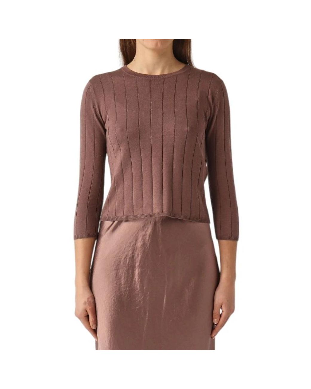 Max Mara Brown Round-Neck Knitwear