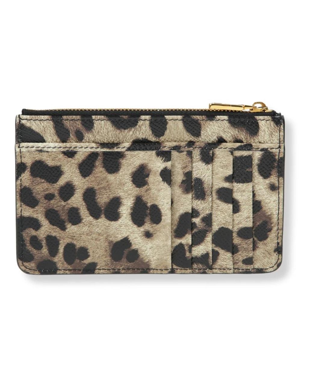 Wallets & Cardholders di Dolce & Gabbana in Metallic