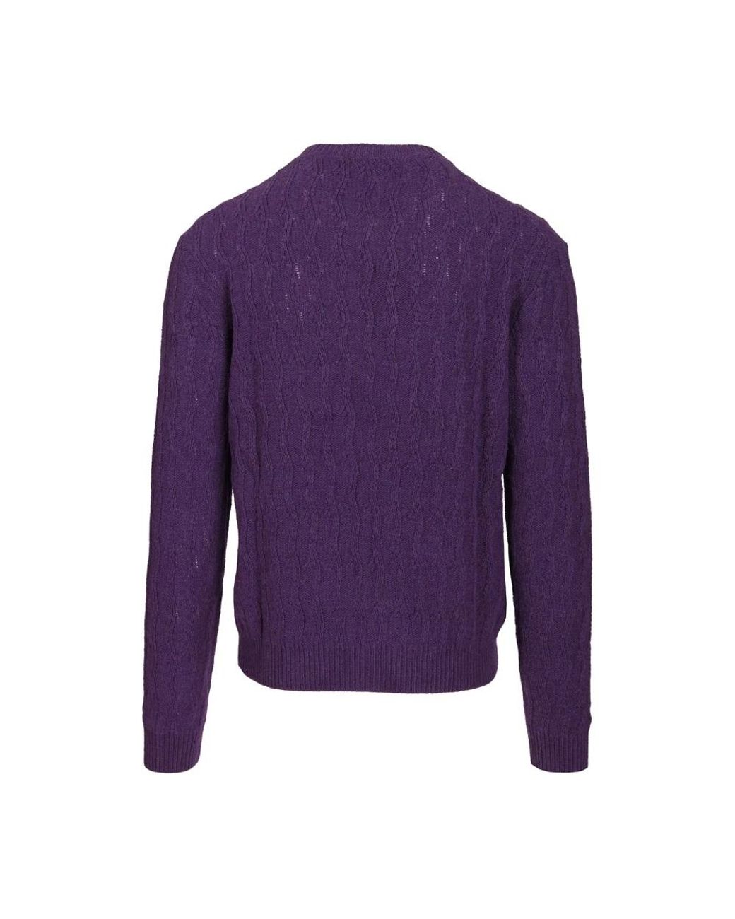 Etro Purple Round-Neck Knitwear for men