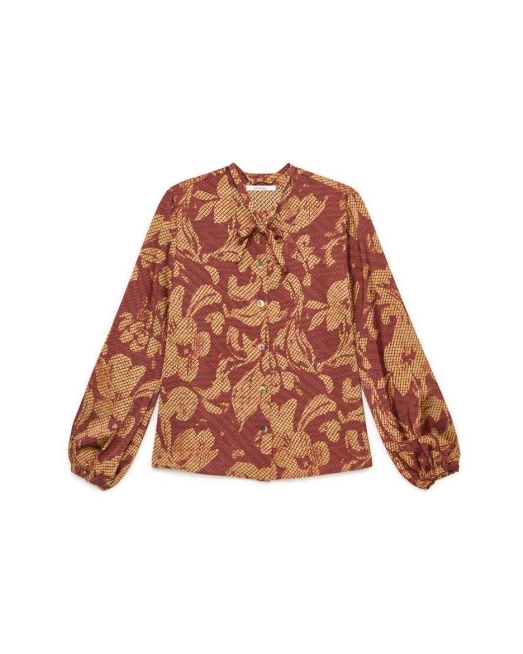 Maliparmi Brown Blouses