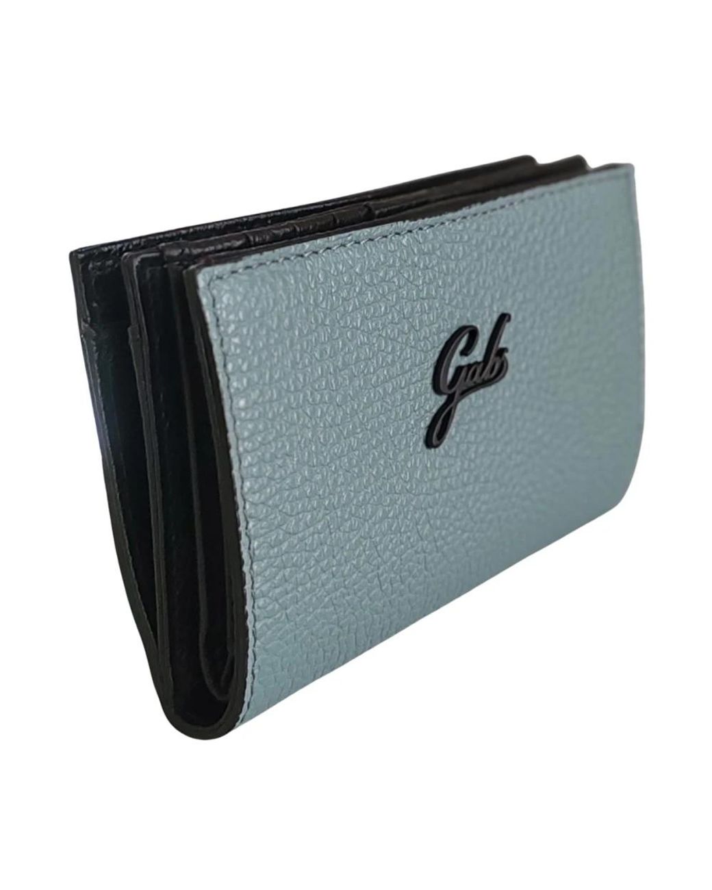 Gabs Blue Wallets & Cardholders