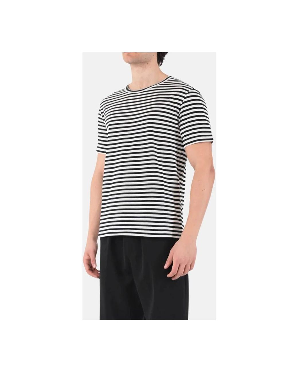 T-Shirts Grifoni de hombre de color Blue