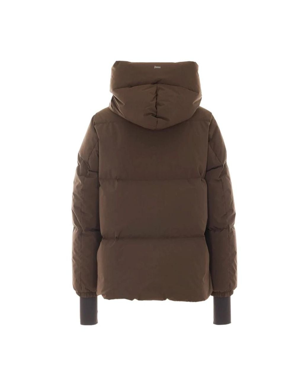 Down Jackets Herno de color Brown