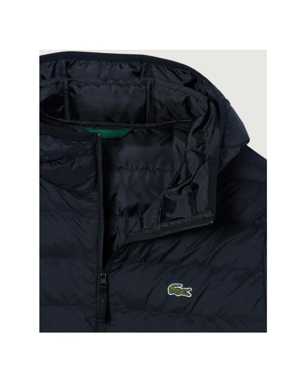 Down Jackets Lacoste de hombre de color Blue