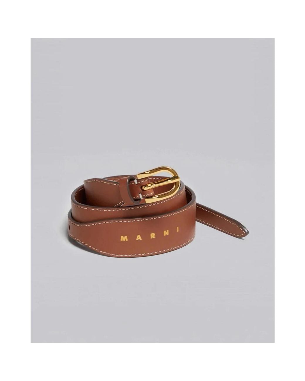 Belts di Marni in Brown