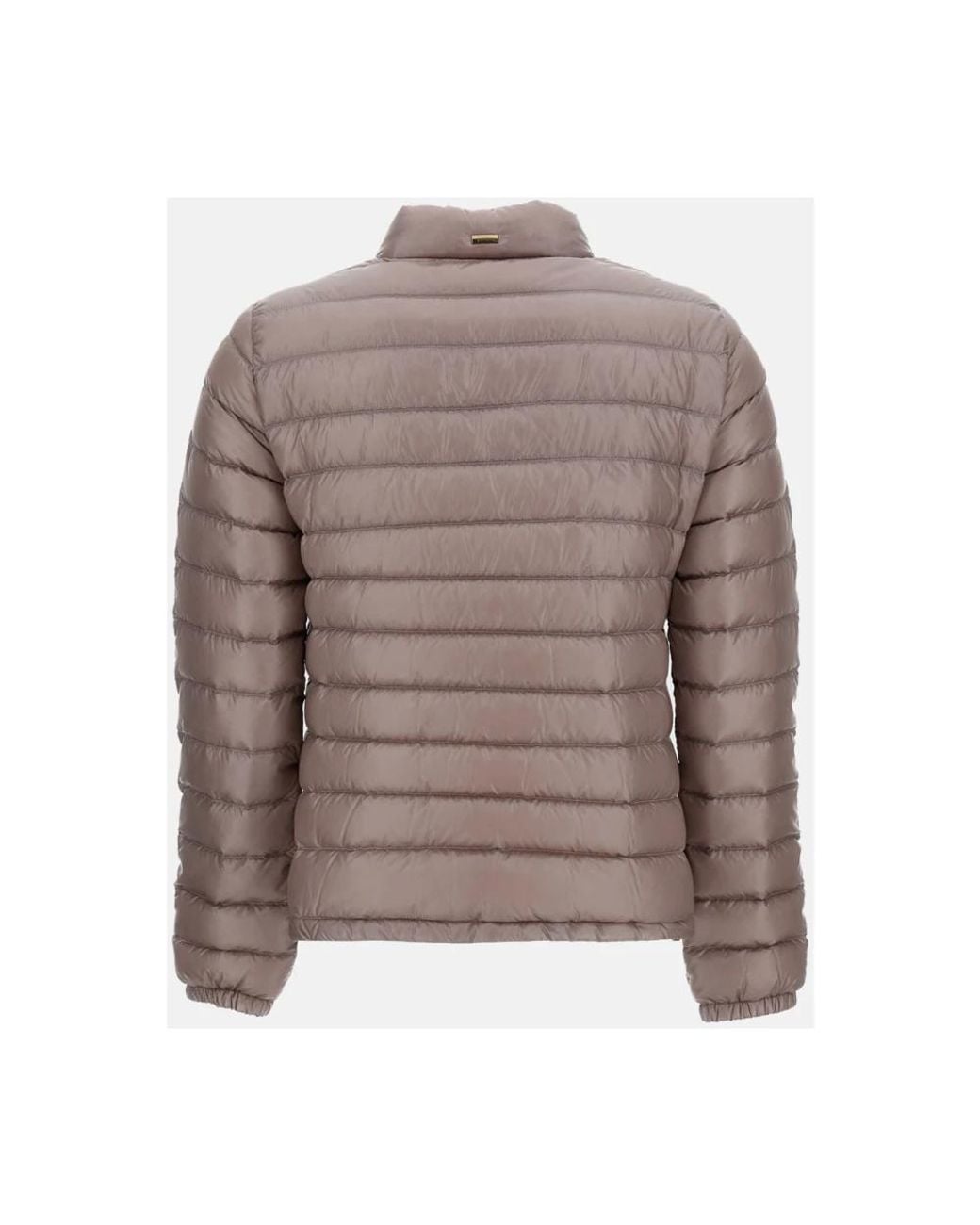 Down Jackets Herno de color Brown