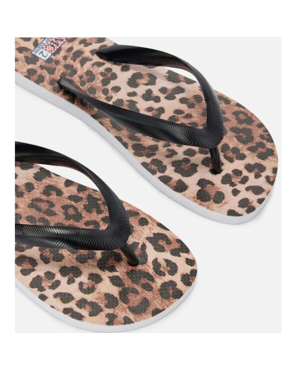 Mc2 Saint Barth Brown Flip Flops