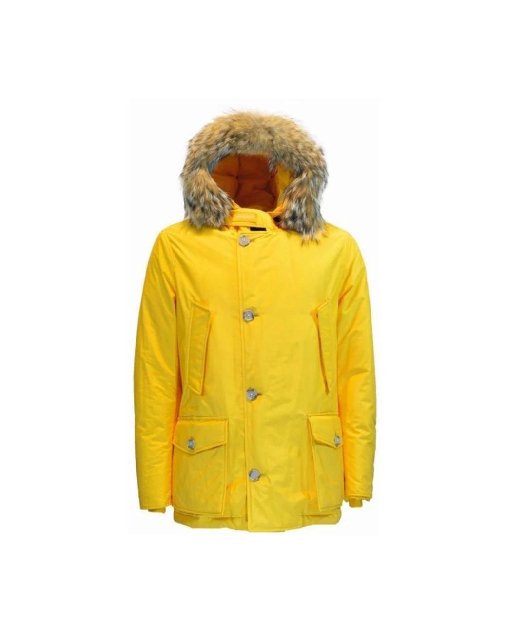 Woolrich Yellow Winter Jackets for men