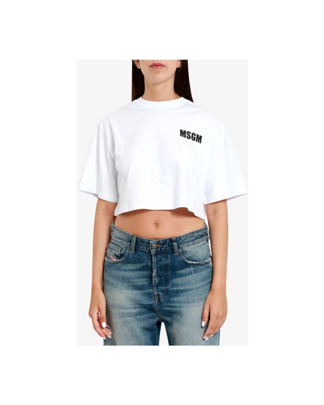 T-Shirts di MSGM in White
