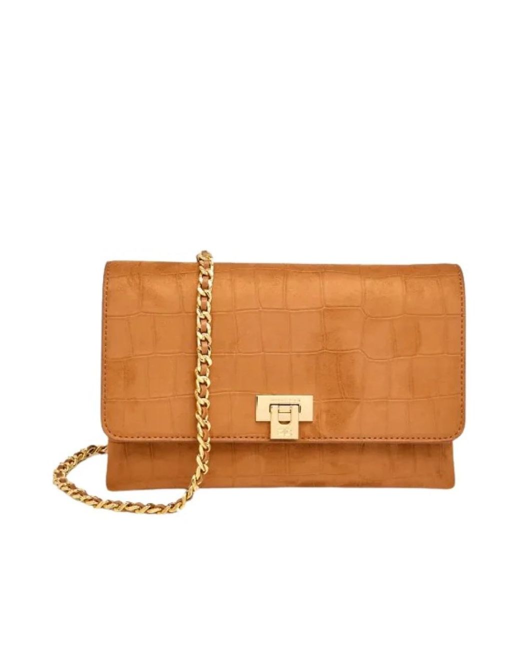 Elisabetta Franchi Brown Cross Body Bags
