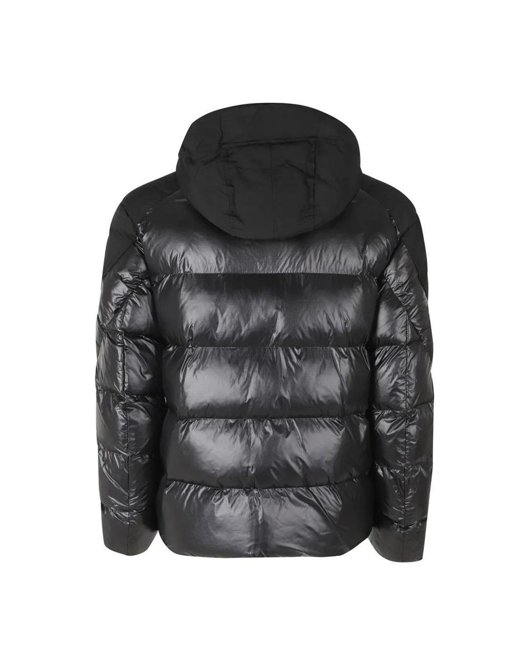 Winter Jackets Blauer de hombre de color Black