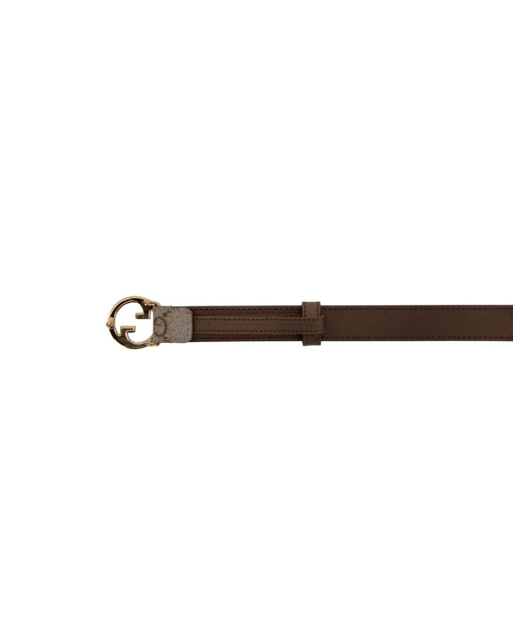 Gucci Brown Belts