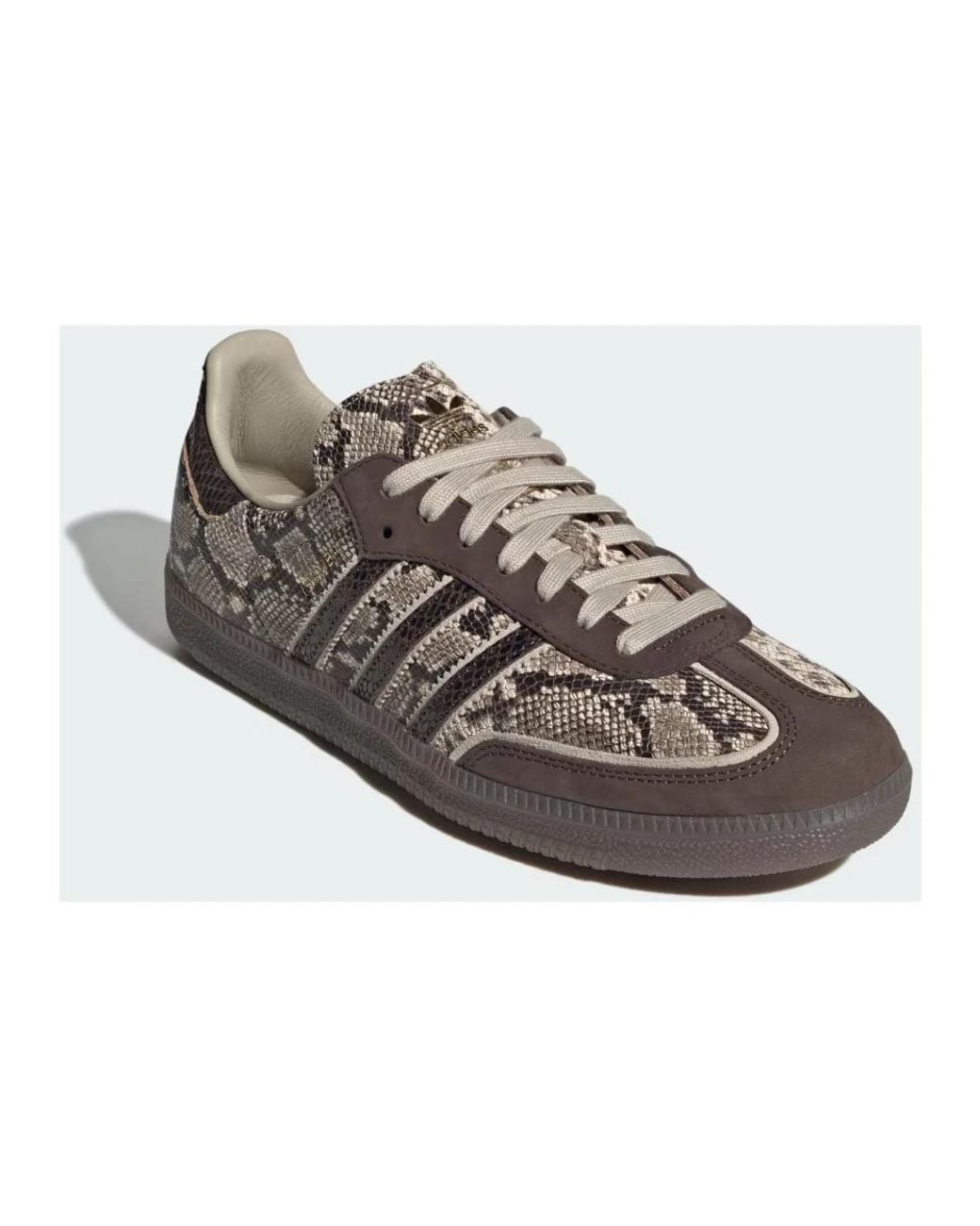 Adidas Originals Brown Sneakers