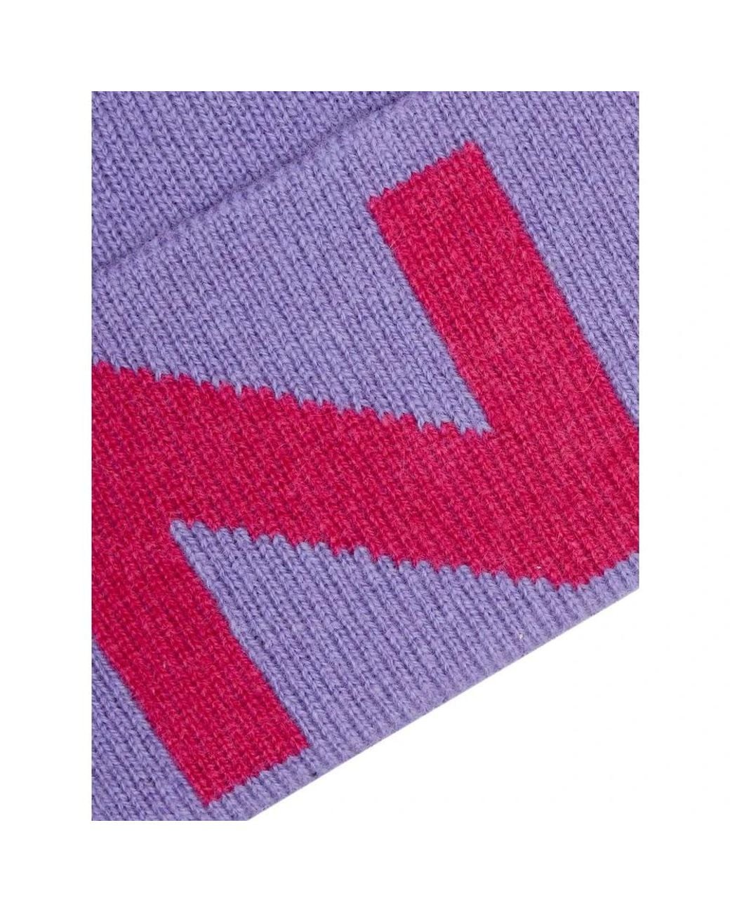 Pinko Purple Accessories