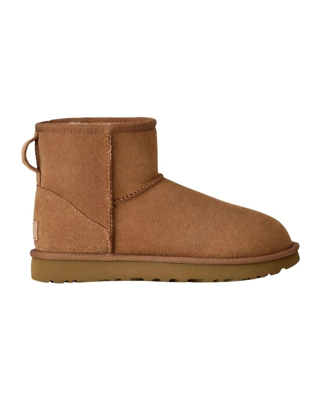 Winter Boots Ugg en coloris Brown