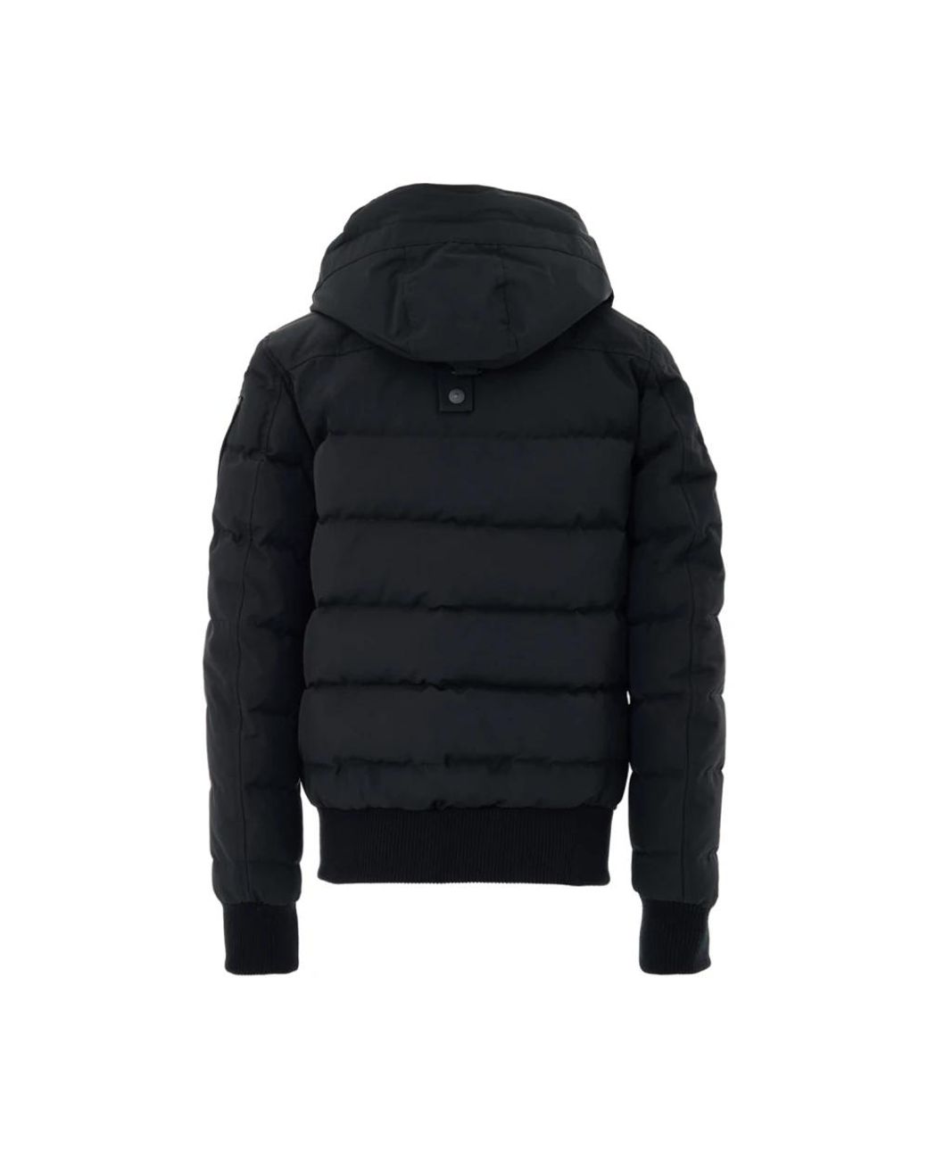 Moose Knuckles Black Winter Jackets
