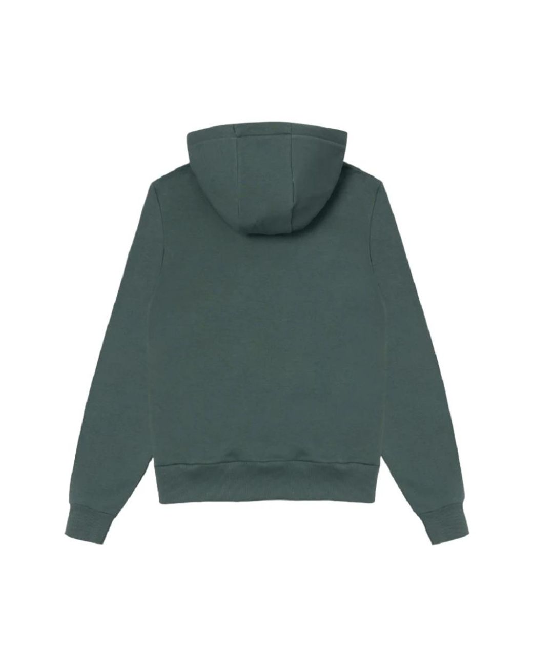 Colmar Green Hoodies for men